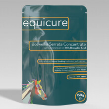 Equicure Boswellia Serrata Concentrate Powder For Horse/Pony (750g Refill)