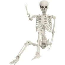 Squelette grandeur nature 165 cm – articulé, corps entier, os réalistes et mobiles, parfait pour Halloween, extérieur ou intérieur