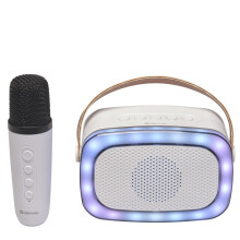 BTM-610 BT-Lautsprecher mit Mikrofon und Karaoke-Funktion