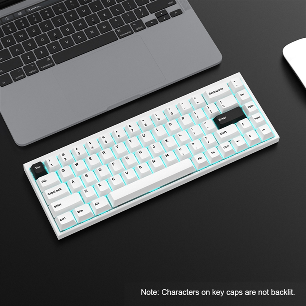 Set Di Tasti Pbt Wear Per Tastiera Meccanica, Bianchi