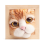 Κιτ πλεξίματος κούκλας Lovely Cat Head με στολίδια κορνίζας B 1