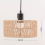 Paper Rope Lampshade Ceiling Light Shade 22x11cm 6