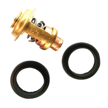 5005440 Kit termostato e guarnizioni in ottone per Evinrude