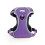 HugglePets (Medium, Purple) HugglePets Activity & Travel Dog Harness 1
