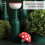 Mushroom Foldable Small Kitchen Funnel - Magic Mushroom 3