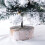 Desktop Christmas Tree Snow Flocking Artificial Mini with Lamp & Wooden Base 7