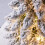 Desktop Christmas Tree Snow Flocking Artificial Mini with Lamp & Wooden Base 6