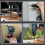 10pcs Tile Bit Blue Spade Drill Set High Hardness Eccentric Cordless Power Tools Accessories 8mm 5