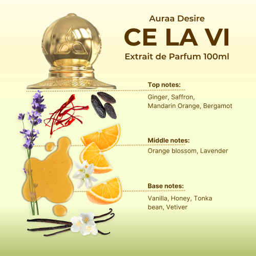 Ce La Vi 100ml Perfume for Unisex by Auraa Desire