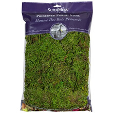 SuperMoss (25322) Waldmoos, konserviert, frisches Grn, 8 Unzen