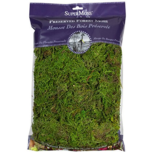 SuperMoss (25322) Bosmos Geconserveerd Vers Groen 8oz