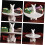 Plate Rabbit cake tray Baking Food Holder ceramic dish Easter dessert tower Cake Storage 8