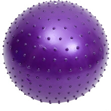 Thorn Ball Yoga Massage Ball Sensory Gym Exercise Sphere Bounce
