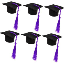 Unique Mini Doctoral Shape Wine Bottle Cover Set Tassels for Party Decor