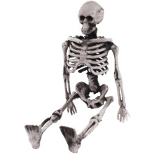 Mallit Ulkolelu Ihmisen Luu Figuriini Realistiset Pääkallo Figuriinit Mannekiini Mannekiini Halloween Skeleton Décor