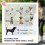 PawHut PawHut Foldable Pet Stroller w/ Detachable Carrier, Soft Padding - Grey 4