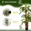 Outsunny Outsunny Artificial Palm Plant Fake Tree for Home Office, 150cm 8