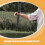 Basketball Training Aid Portable Blocking Stick for Indoor Ball Control Practice 3