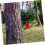 Multi-Size Spinner Targets Stainless Wood Screws Single Tree Target Pins for Close-Range Training 8
