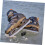 Ice Sharpener Ceramic Ice Skate Sharpeners Skate Laces Ice Hocke Sharpener 7