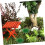 1 Set Model Grass Simulated Grass Cluster Shrubs Tuft Terrain Model Scenery 5
