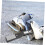 Skate Sharpener Compact Easy to Use Ice Skate Sharpener Grindstone for Skating 4