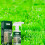 60ml Eco-Friendly Fast Green Grass Lawn Paint Spray 2