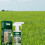60ml Eco-Friendly Fast Green Grass Lawn Paint Spray 4