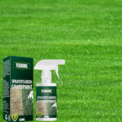 60ml Eco-Friendly Fast Green Grass Lawn Paint Spray 2