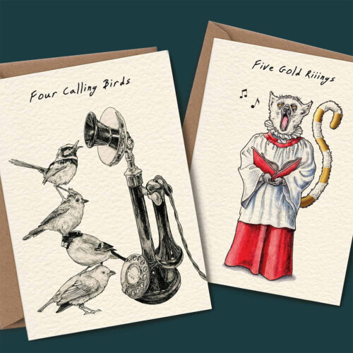 12-Pack Funny Christmas Cards Set with Envelopes 2