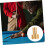 Messing Pool Queue Schraube Billard Queue Joint Schraube Messing Billard Queue Stecker Pool Queue 6