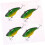 Simulation Angelköder Set Mini Fisch Köder 8 Stück schwimmende Köder für Bass Forelle Walleye Minnow Köder 6