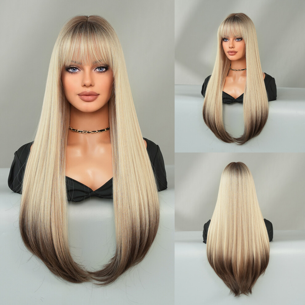 Unisex Brown (Rice Gray Hair End Dyeing_70cm 28 Inch) New European And American Women's Long Straight Hair Mocha Inward Buckle Layered Fashion Wig Full Head