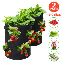 Strawberry Planting Bags 2 Pack 10 Gallon Planting Pouch Fabric Pots Premium Breathable Cloth Bags