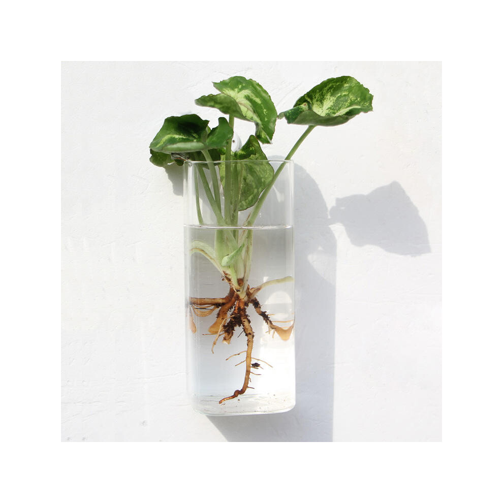 Wall-mounted Long Tube Shaped Glass Flower Vase Home Garden Wedding Party Decoration