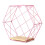 (Pink) DIY Wall-mounted Display Shelf Rack Floating Storage Iron Wood Organizer 12