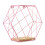 (Pink) DIY Wall-mounted Display Shelf Rack Floating Storage Iron Wood Organizer 2