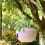 (White) Plastic Hanging Planter Pot Home Yard Hanging Flowers Baskets With Chain 4
