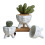 (S) Creative Humanoid Ceramic Flower Pot Green Succulent Planter Plant Container 6