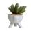 (S) Creative Humanoid Ceramic Flower Pot Green Succulent Planter Plant Container 4