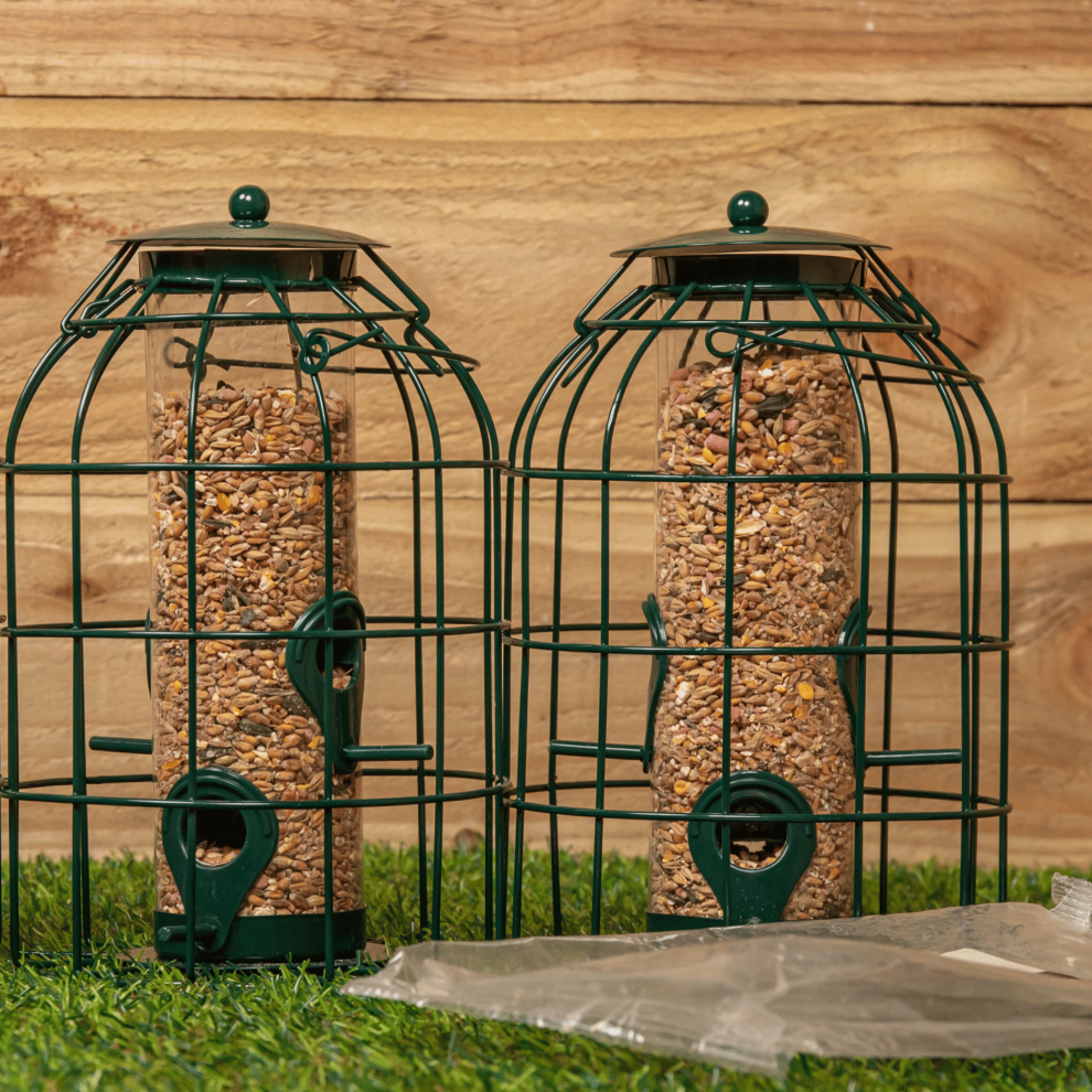 Pack of 2 Samuel Alexander Metal Hanging Bird Seed Feeder with Squirrel Guard & Pack of Seed Feed