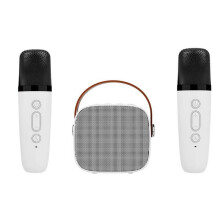 (white with 2 mic) Mini Karaoke Machine for Kids and Adults Portable Speaker With Wireless Microphone for Home KTV Birthday