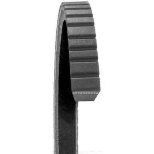 Dayco 17670 Flktblten