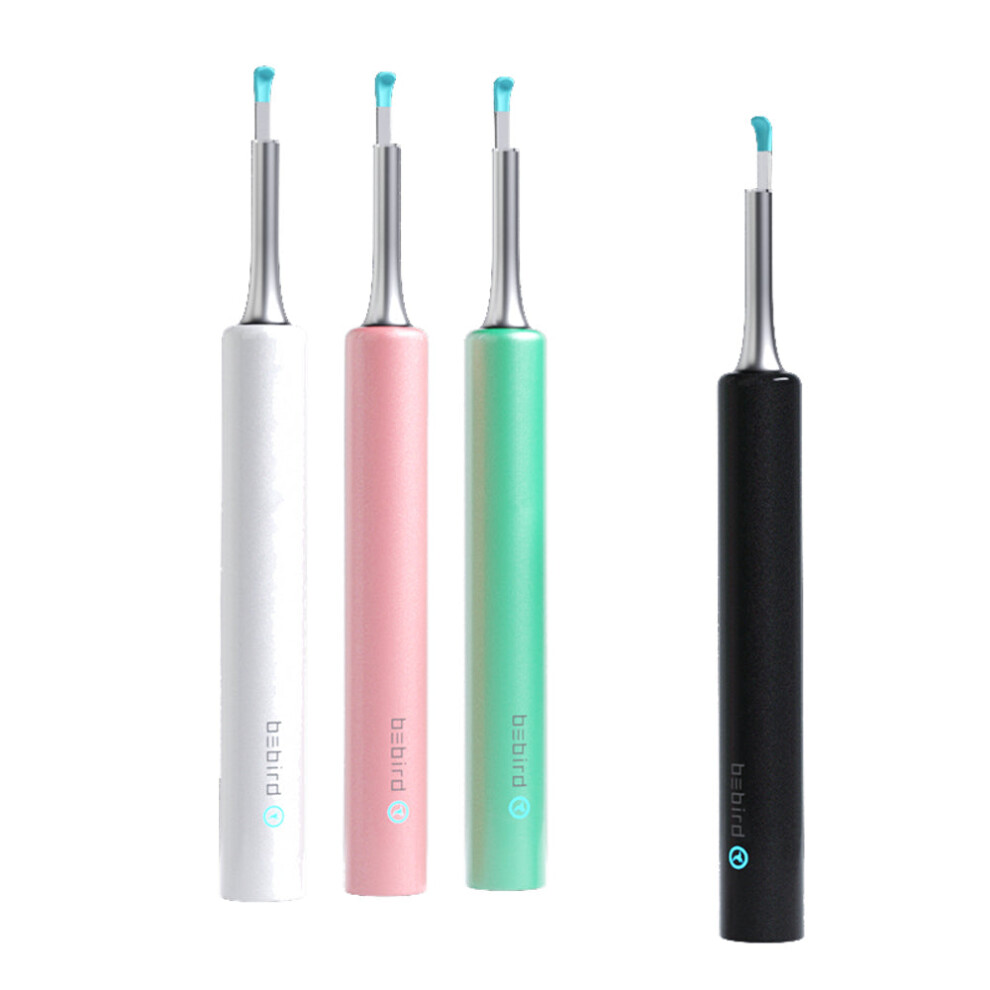 Greenzech Black (Black) Hd Visual Ear Spoon In Ear Cleaning Endoscopio Ear Pick Otoscope Borescope From System 3.5Mm 2.0Mp Ip67