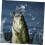 Köder Libelle Crappie Jigs Kurbelköder Salzwasser Köder Tackle Salzwasser Angelköder Angelköder Angelset Angeln 4