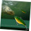 Simulation Angelköder Set Mini Fisch Köder 8 Stück schwimmende Köder für Bass Forelle Walleye Minnow Köder 4
