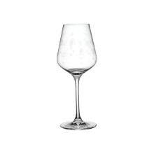 Villeroy & Boch Delight Stems White Wine Glass Set of 2 13oz