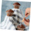 1 Set Ster Cupcake Plunger Cupcake Midden Verwijderaar Cupcake Ontsteker Tool 4