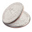 Amerikaanse muntschatten Washington Quarter Two Sides Tails 1