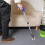 Claw Grabber Reacher With Hook Pick Up Tool Extension Trash Picker 9